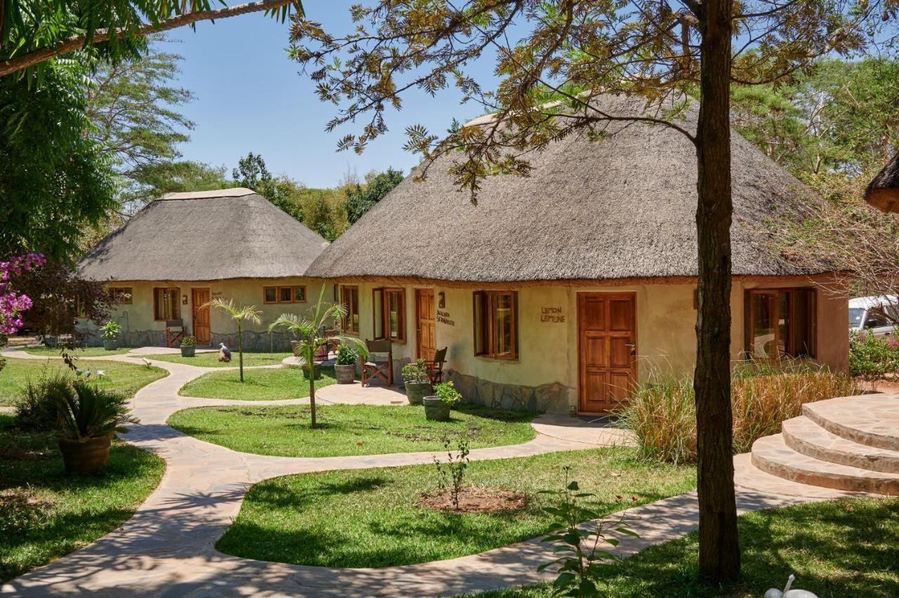 Wild Dogs Lodge Lusaka Exterior foto